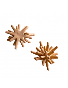 Charm connettore smaltato salmone stella di corallo 12x8...