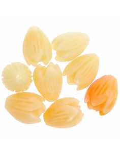 Confezione di 6 perline di fiori albicocca 10x8mm