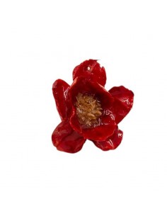 Charm fiore naturale resinato sfumature rosso geranio...
