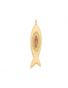 Charm dorato pesce effetto smartellato con con inserto...