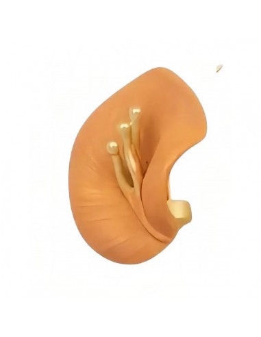 Piccola spilla per abiti dorata smaltata rame...