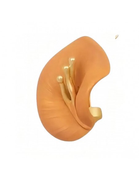 Piccola spilla per abiti dorata smaltata rame matt 27x20mm, x1