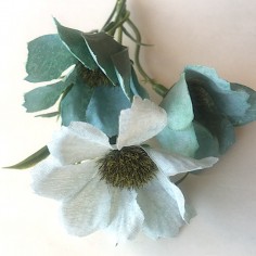 Rametto di fiorellini nei toni dell'azzurro dalla...