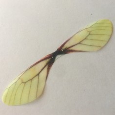 Ali di Farfalla in organza nei toni del giallo 85x20 mm, x 1