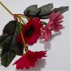 Rametto di margherite nei toni del rosso geranio e rosa...