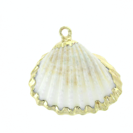 Conchiglia  in madreperla con bordatura dorata circa 24x15x18 mm, x 1