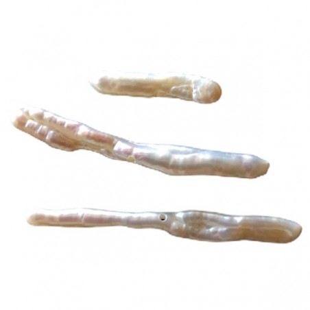 Perla listone con foro sul lato corto con dimensione irregolare tra 11 -17 mm x 3, x 1